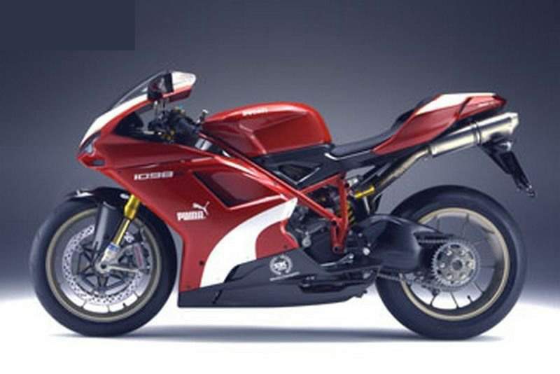 Puma 1198 best sale ducati